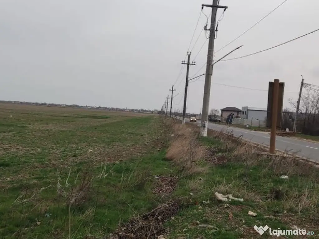 OCAZIE UNICA TEREN IEFTIN-PUZ INDUSTRIAL CERNICA, PALLADY