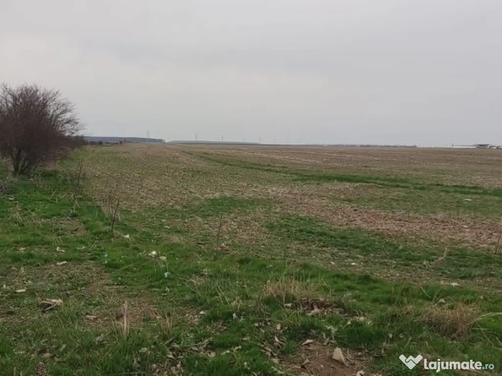 OCAZIE UNICA TEREN IEFTIN-PUZ INDUSTRIAL CERNICA, PALLADY