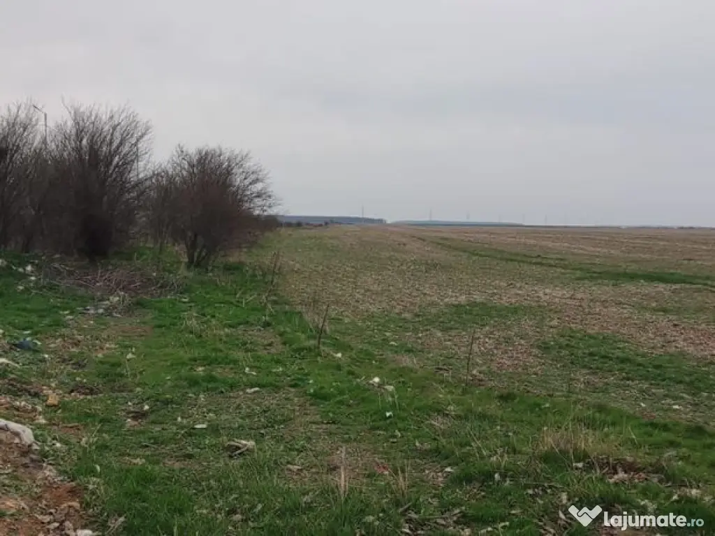 OCAZIE UNICA TEREN IEFTIN-PUZ INDUSTRIAL CERNICA, PALLADY