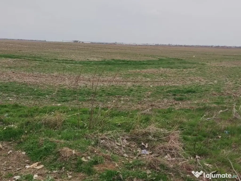 OCAZIE UNICA TEREN IEFTIN-PUZ INDUSTRIAL CERNICA, PALLADY