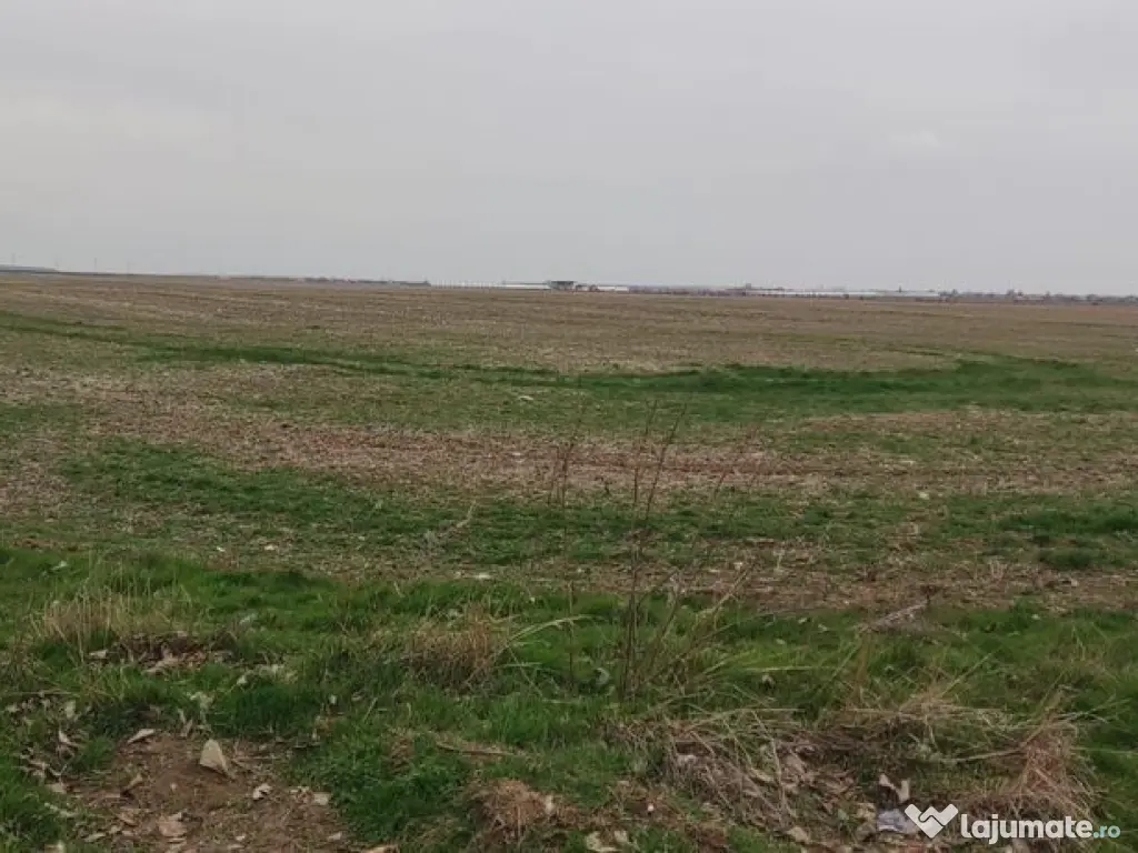 OCAZIE UNICA TEREN IEFTIN-PUZ INDUSTRIAL CERNICA, PALLADY