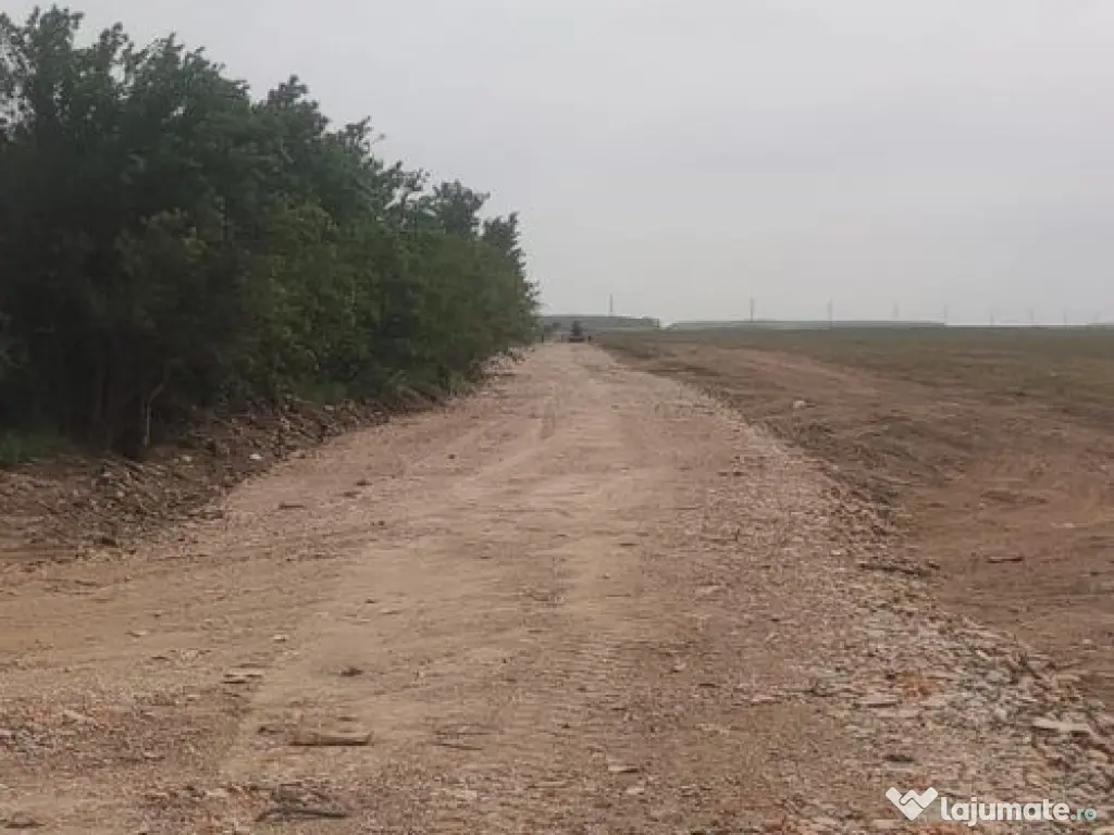 OCAZIE UNICA TEREN IEFTIN-PUZ INDUSTRIAL CERNICA, PALLADY