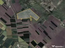 Teren 42 ha pentru parc fotovoltaic – Macea, Arad