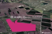 Teren 42 ha pentru parc fotovoltaic – Macea, Arad