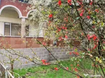 Casa renovabila, teren 4400 mp, Tureni