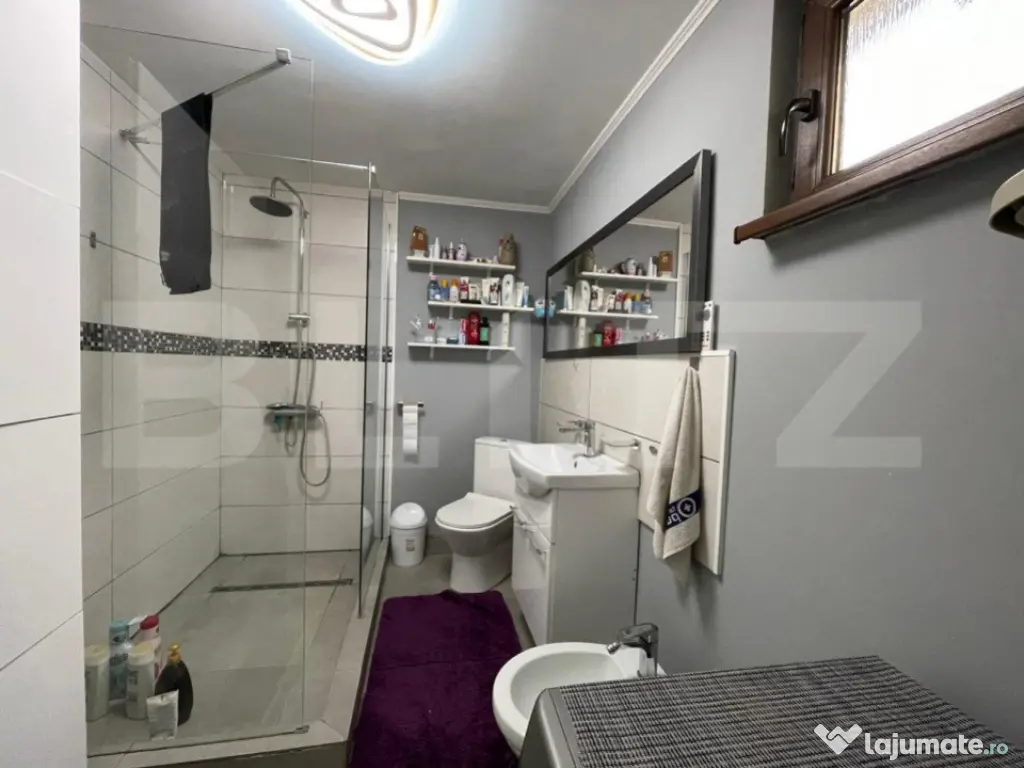 Casa batraneasca, anexa nouă + spațiu comercial, 264mp ter