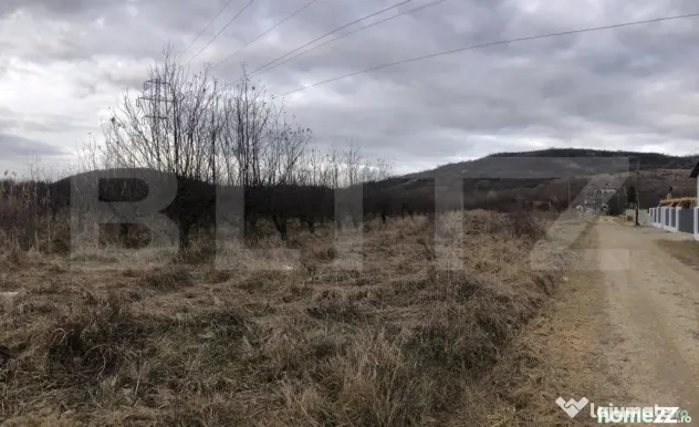 Teren intravilan, 1037 mp, Viforata - Viforata (Dambovita)