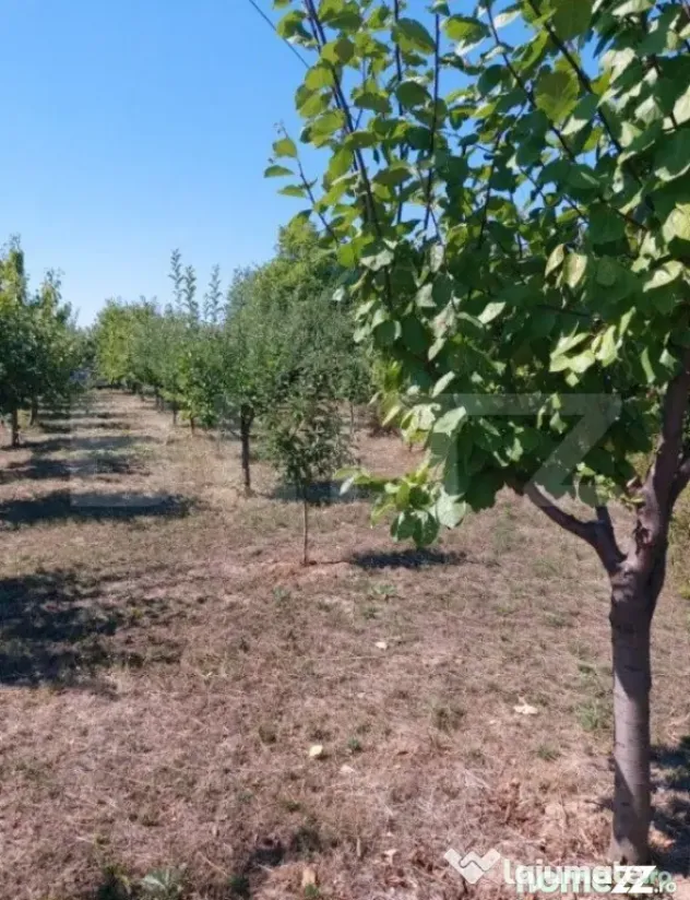 Teren extravilan de vanzare 2603 mp, zona IPL - Satu Mare (Satu-Mare)