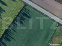 Teren Intravilan, 5 hectare, Padureni, comuna Jebel, front s