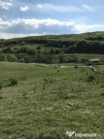 Teren intravilan in zona Roata Faget