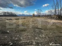 Teren 8000 mp, zona Pestisani