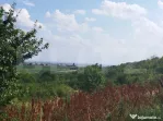 Teren, 3600mp, Drumul Vinului