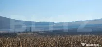 Oportunitate: 50 Ha de Teren Ideal pentru Agricultură sau P