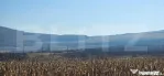 Oportunitate: 50 Ha de Teren Ideal pentru Agricultură sau P