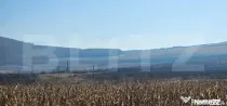 Oportunitate: 50 Ha de Teren Ideal pentru Agricultură sau P
