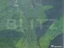 Teren extravilan 49300mp, zona Ghinda