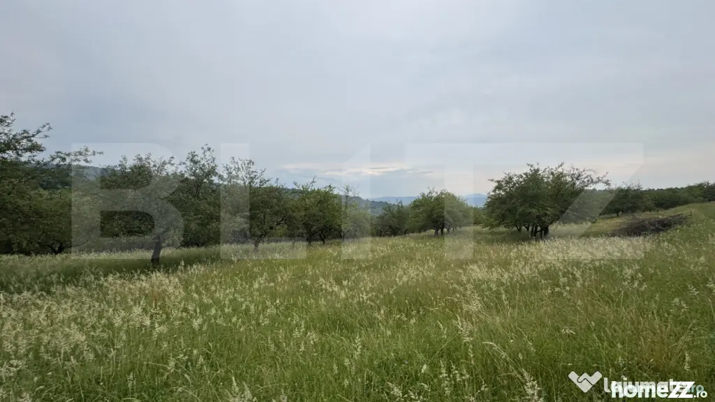 Teren extravilan 24.150 mp in zona Dorolea