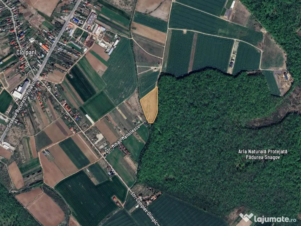 Vand lot teren la padurea Snagov