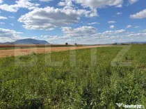 Teren intravilan, Puz aprobat parcele intre 500 - 700 mp