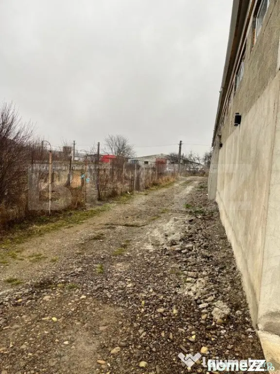 Hala 360 mp, 1700mp teren, Radauti