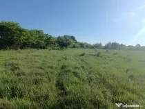 Busag, 45 ari teren intrav.