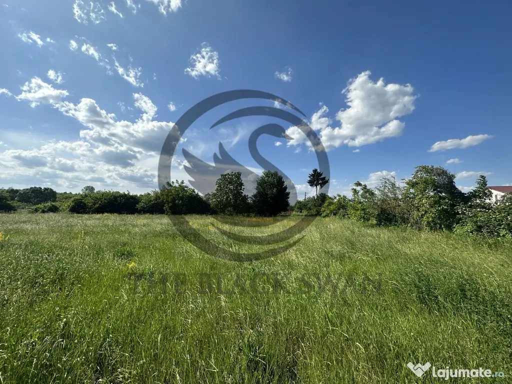 Teren Vanzare 11.000 MP Ghirdoveni | Comision 0%