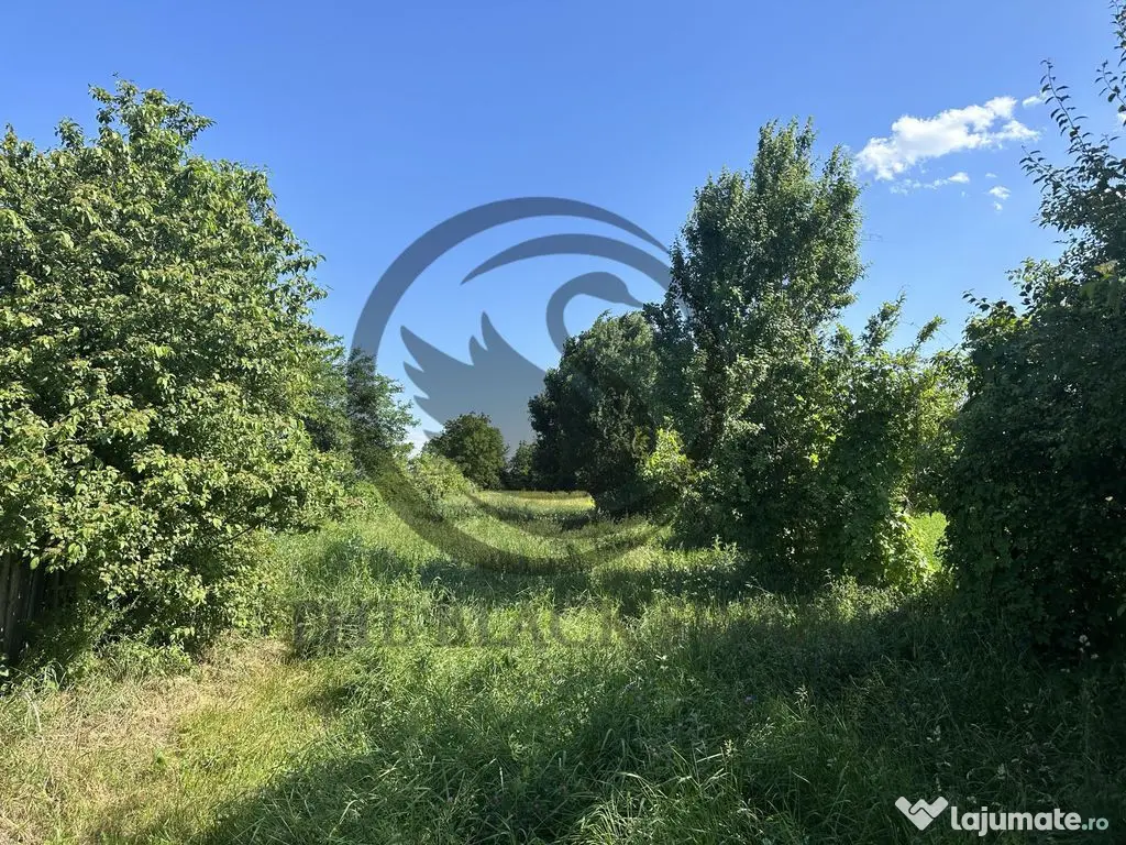 Teren Vanzare 11.000 MP Ghirdoveni | Comision 0%