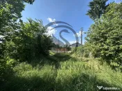 Teren Vanzare 11.000 MP Ghirdoveni | Comision 0% 