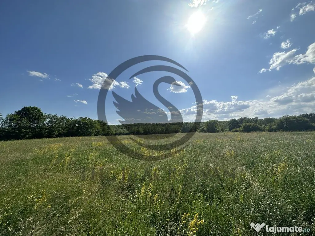 Teren Vanzare 11.000 MP Ghirdoveni | Comision 0%