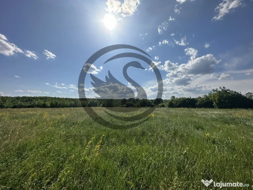 Teren Vanzare 11.000 MP Ghirdoveni | Comision 0%