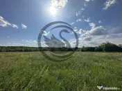 Teren Vanzare 11.000 MP Ghirdoveni | Comision 0% 