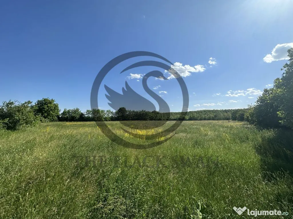 Teren Vanzare 11.000 MP Ghirdoveni | Comision 0%