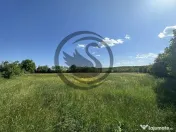 Teren Vanzare 11.000 MP Ghirdoveni | Comision 0% 