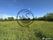 Teren Vanzare 11.000 MP Ghirdoveni | Comision 0% 