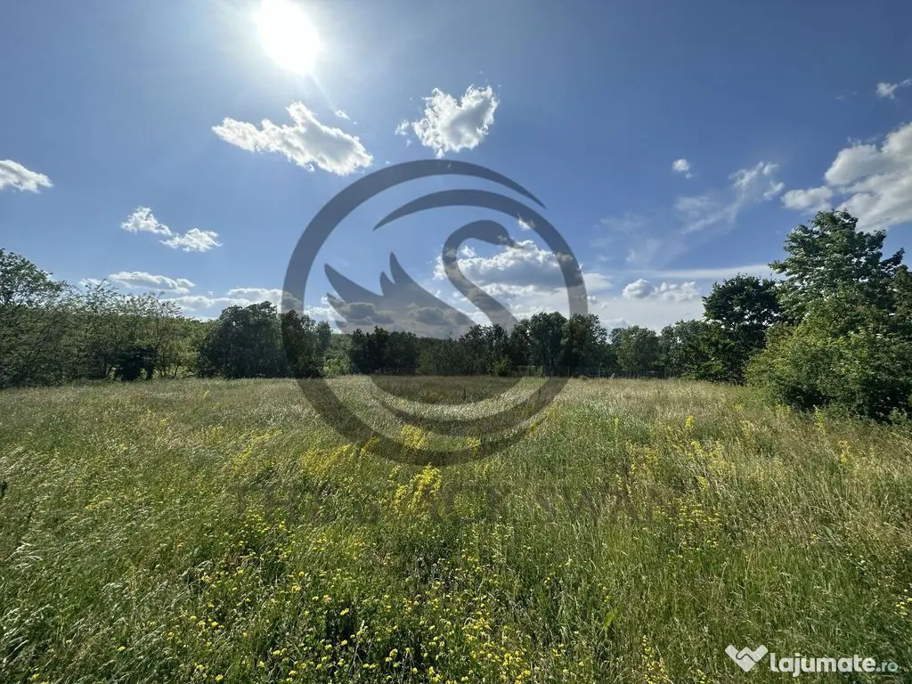 Teren Vanzare 11.000 MP Ghirdoveni | Comision 0%