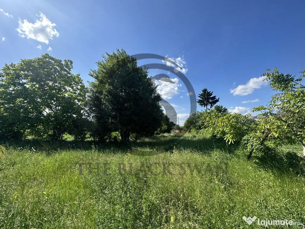 Teren Vanzare 11.000 MP Ghirdoveni | Comision 0%