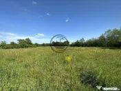 Teren Vanzare 11.000 MP Ghirdoveni | Comision 0% 