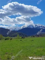 Teren intravilan 1250 mp de in Avrig zona Valea Avrigului