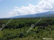 Teren intravilan 1250 mp de in Avrig zona Valea Avrigului 