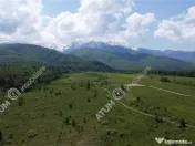 Teren intravilan 1250 mp de in Avrig zona Valea Avrigului 