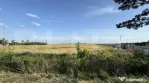Teren intravilan 42.000 mp, deschidere 133 m la DE574, zona