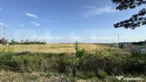 Teren intravilan 42.000 mp, deschidere 133 m la DE574, zona