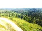 Teren de vanzare in Salicea, 10000 MP , Zona Moara de vant!
