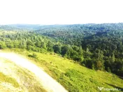 Teren de vanzare in Salicea, 10000 MP , Zona Moara de vant! 