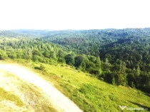 Teren de vanzare in Salicea, 10000 MP , Zona Moara de vant!