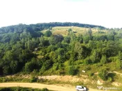 Teren de vanzare in Salicea, 10000 MP , Zona Moara de vant! 