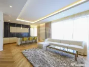 Vanzare vilă de lux în Borhanci 