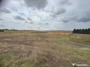 Comision 0% - Teren 10.000 mp - Str. Octavian Goga, Craiovei 