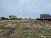 Comision 0% - Teren 10.000 mp - Str. Octavian Goga, Craiovei 