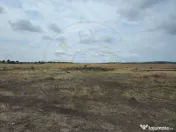 Comision 0% - Teren 10.000 mp - Str. Octavian Goga, Craiovei 